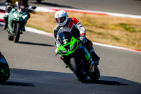 KAWI_GREEN_WHITE