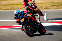 KTM_DUKE