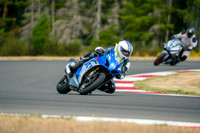 GSXR_BLUE_VEST