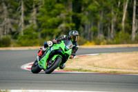 KAWI_GREEN_BLUE