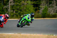 KAWI_GREEN_WINGS
