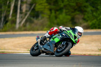 KAWI_GREEN_WL