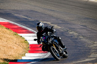APRILIA_TUONO