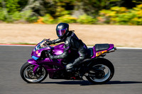 CBR_PURP