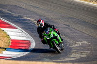 KAWI_GREEN_YEL