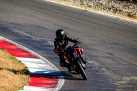 KTM_DUKE