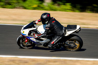TRIUMPH_WHITE