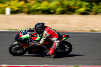 APRILIA_GREEN