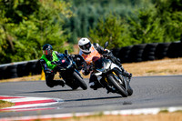 APRILIA_TUONO_SILVER