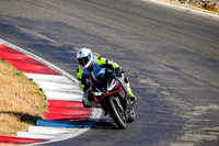 APRILIA_YELLOW