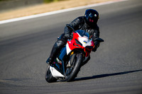 DUC_TRICOLORE