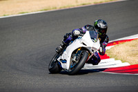 DUC_WHITE