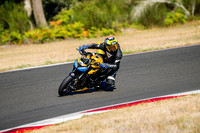 TT_YELLOW