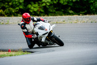 DUC_WHITE