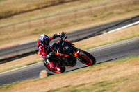 KTM_REV