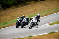 GSXR_LEAKY_DYUCK