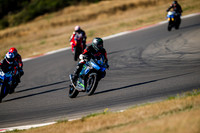 KAWI_GRAY_GREEN