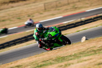KAWI_GREEN_VEST