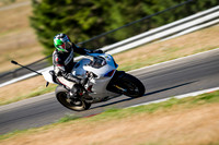 DUC_WHITE_ARAI