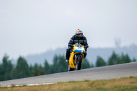 DUC_YELLOW