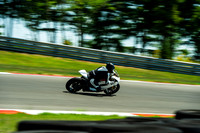 DUC_WHITE_AND_RED