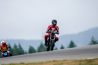 KAWI_THING