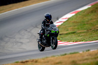 KAWI_GREENEYES