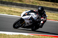 TRIUMPH_WHITE