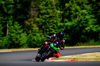 TRIUMPH_TRIP_GREENTAPE