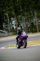 CBR_PURP