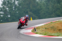 DUC_RED_ARAI