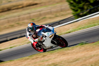 DUC_WHITE_RW