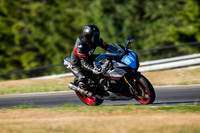 GSXR_SILVERBLACK