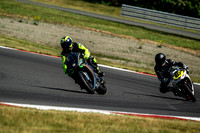R1_CHAMELEON