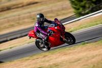 DUC_SIC_999