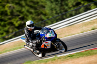GSXR_BLUE_WP