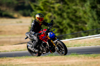 DUC_MONSTER