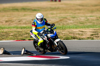 KAWI_Z_WHITE