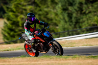 KTM_DUKE
