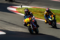 DUC_YELLOW