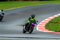 KAWI_UPRIGHT_PURPLE