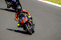 APRILIA_TUONO_RED