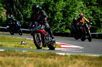 APRILIA_TUONO_BLACK_LID