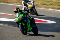 KAWI_GREEN_PT