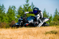 TRIUMPH_TRIP_SIL