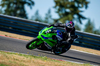 KAWI_GREEN_SHARK