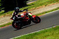 MV_BRUTALE