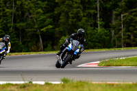 R1_SILVER