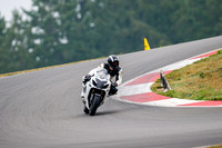 GSXR_WHITE_BT