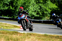 APRILIA_TUONO_RED_LID